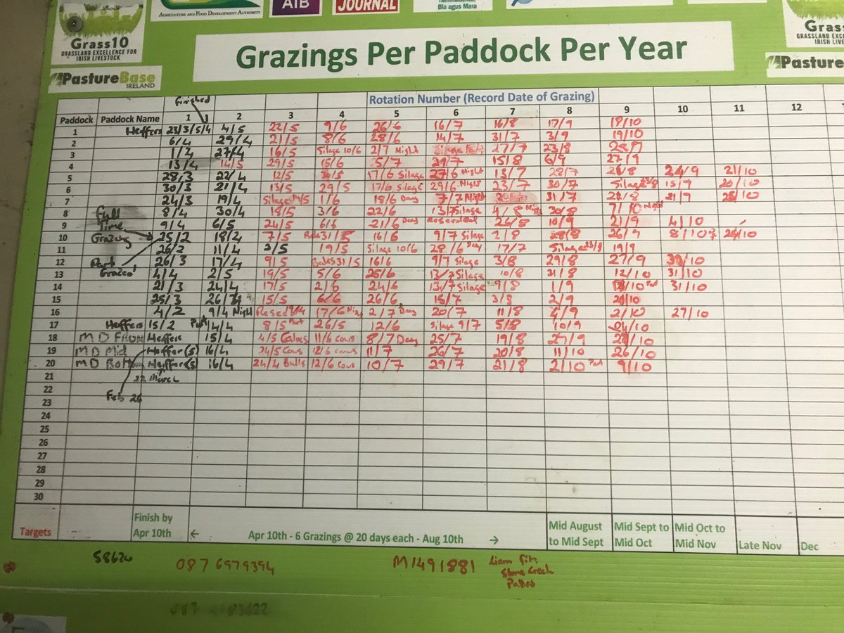 And that’s that for 2019👌🐄