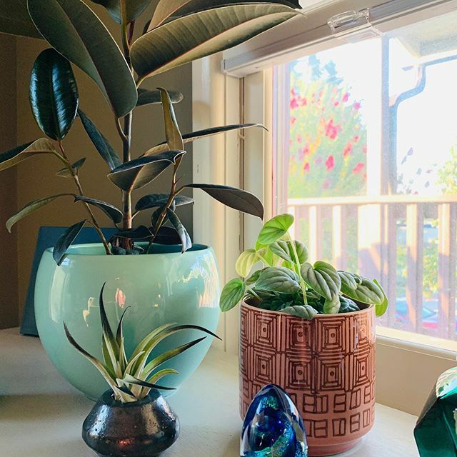 Hélène Scott tweet media