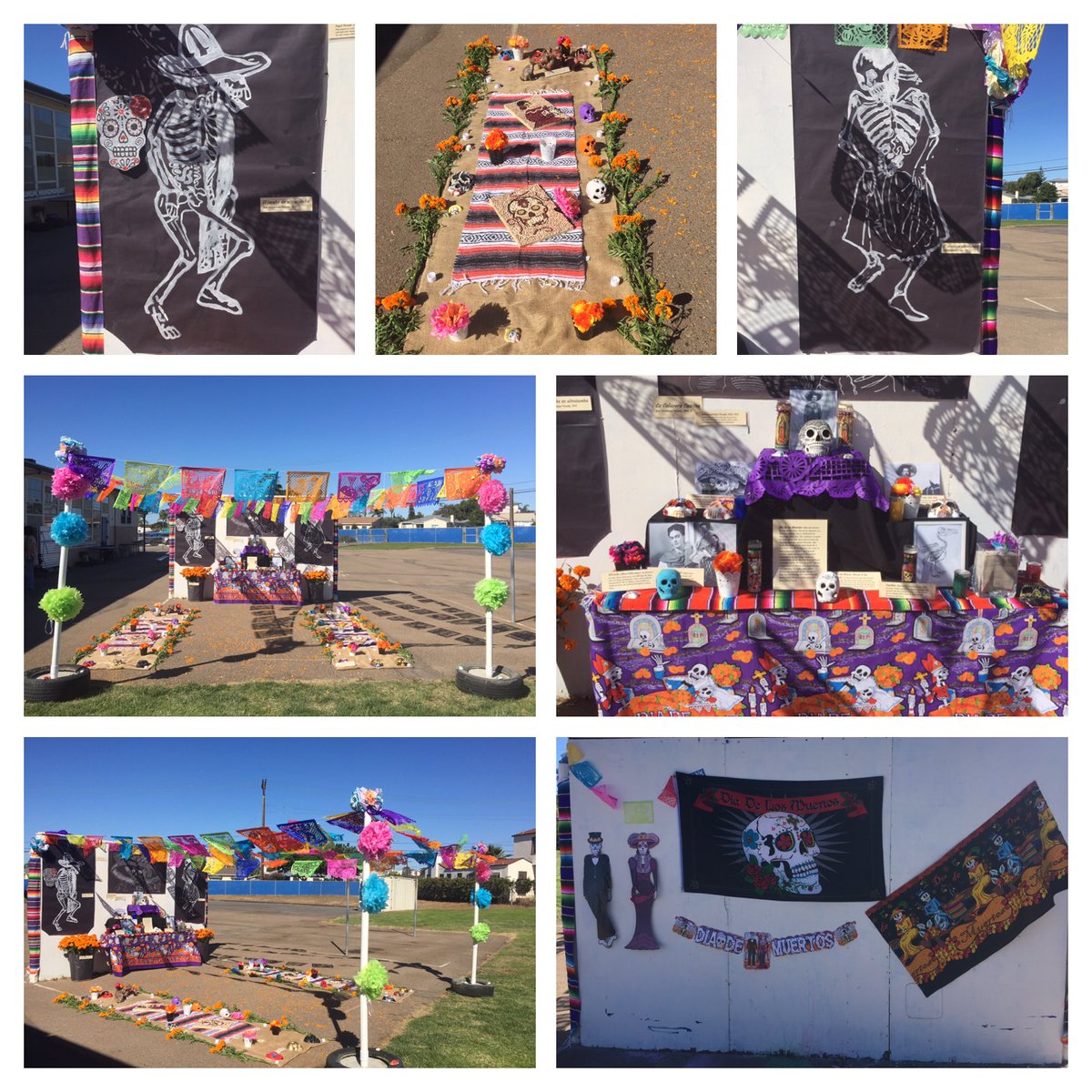 ScienceBoyster's tweet photo. #Ditmar 2019 Dia de los Muertos ofrenda 🖤 https://t.co/FaUHmXmLyT