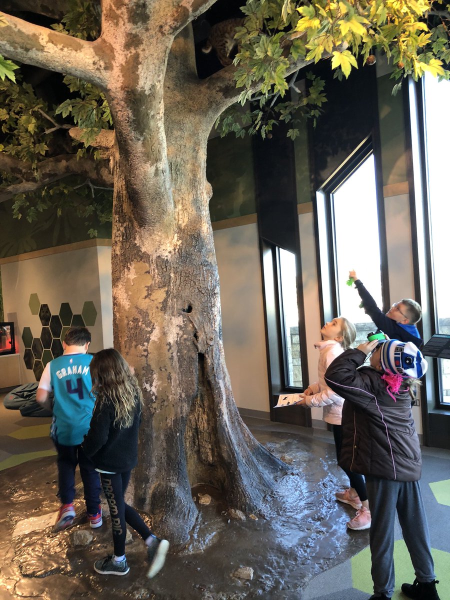 Students learned a lot about dinosaurs, reptiles, &amp; amphibians and conquered some fears today at the <a href="/museumatPF/">MuseumAtPrairiefire</a>! <a href="/prairie512/">Prairie Elementary</a> <a href="/kris10shipp/">Kristen Jones</a>
