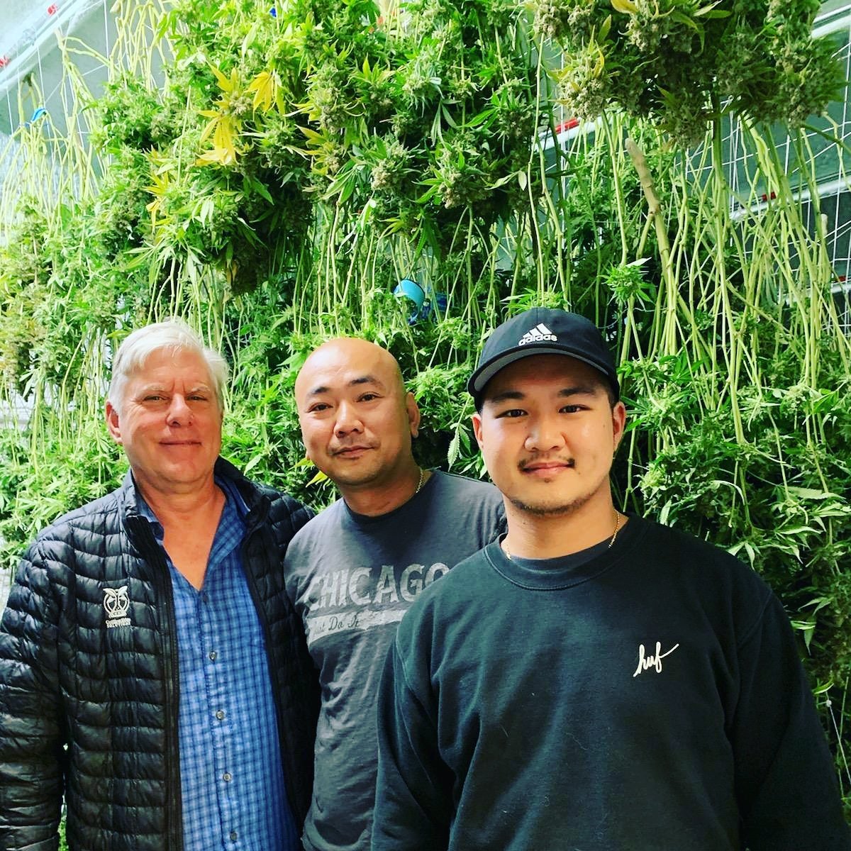 CESHydro's tweet photo. Uncle John checking out this sweet #CuttingEdgeSolutions grown harvest in #Oregon with Travis and Matt of GK Farms. #Hemp #CBD #CBDOil #Tegridy #Hempseed #hydroponics #Hempfarm #Hydro #DWC #RDWC #Croptober #NorthernCaliformula #HempFertilizer #PDX https://t.co/Vq0DFrhdg0