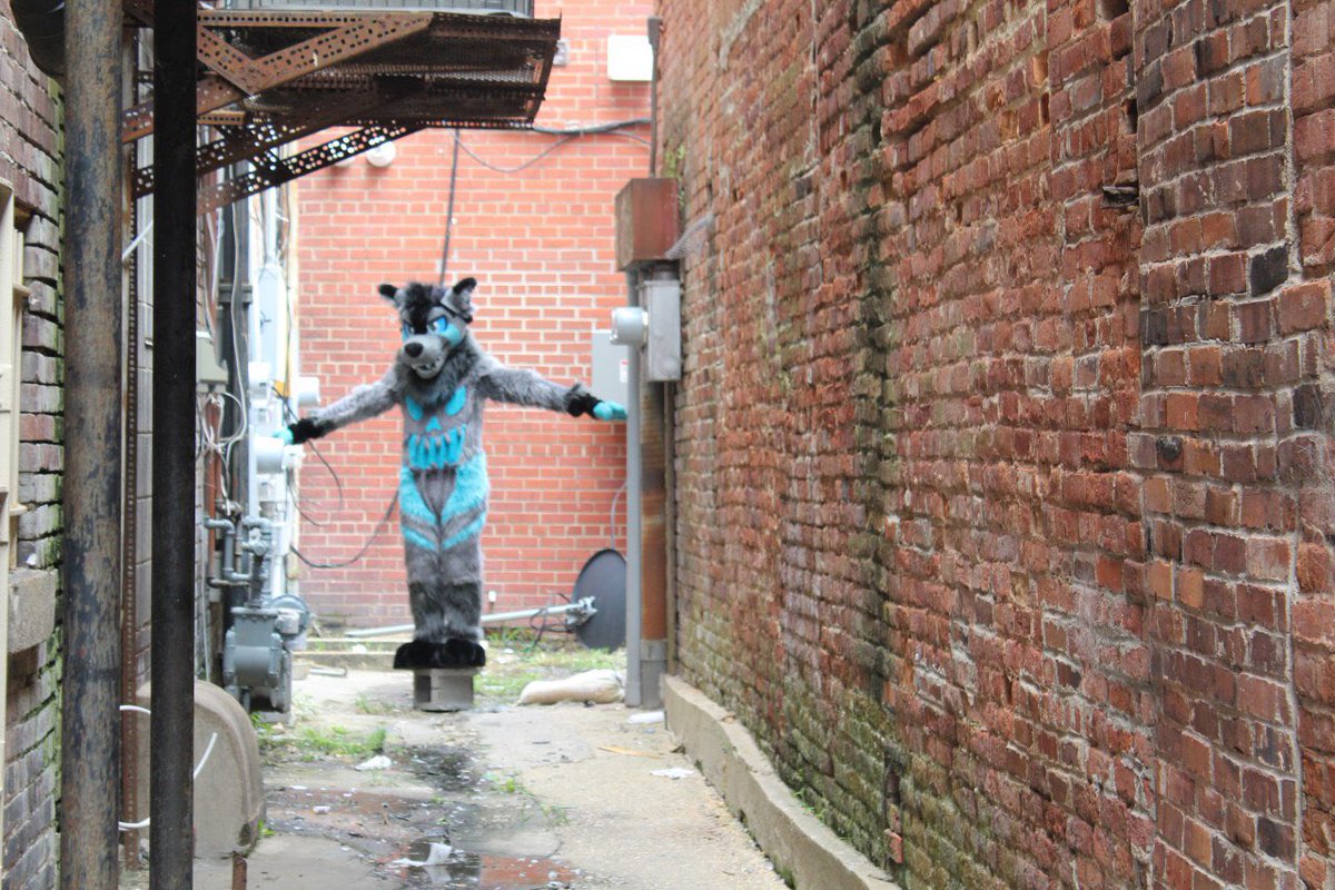 RealCaileanPup's tweet photo. So I’m finally getting to post these pics that I took almost 2 months ago 😅 Sorry it’s so late
Suiters: @DageFenram @svedkadog 
📸: Myself

#fursuit #fursuitouting #fursuiter #furry https://t.co/3RANpBj3Sj