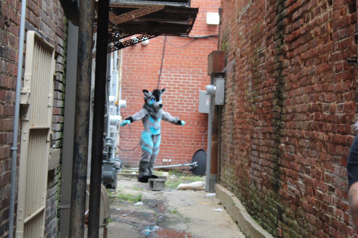 RealCaileanPup's tweet photo. So I’m finally getting to post these pics that I took almost 2 months ago 😅 Sorry it’s so late
Suiters: @DageFenram @svedkadog 
📸: Myself

#fursuit #fursuitouting #fursuiter #furry https://t.co/3RANpBj3Sj
