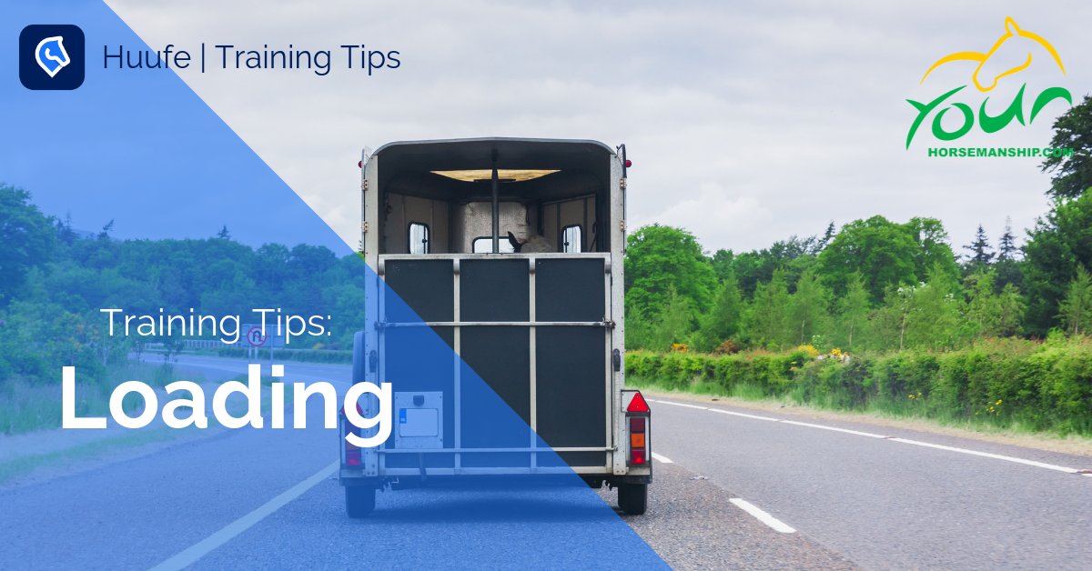 huufeapp's tweet photo. Have difficulties loading your horse? 
Take a look at our Training Tip from Your Horsemanship - Click the link to find out more: https://t.co/lRd3in81GI

#horsetraining #horseapp #equestrian #equine #huufe #huufeapp #horse https://t.co/lRd3in81GI https://t.co/tnNvB4Nsco