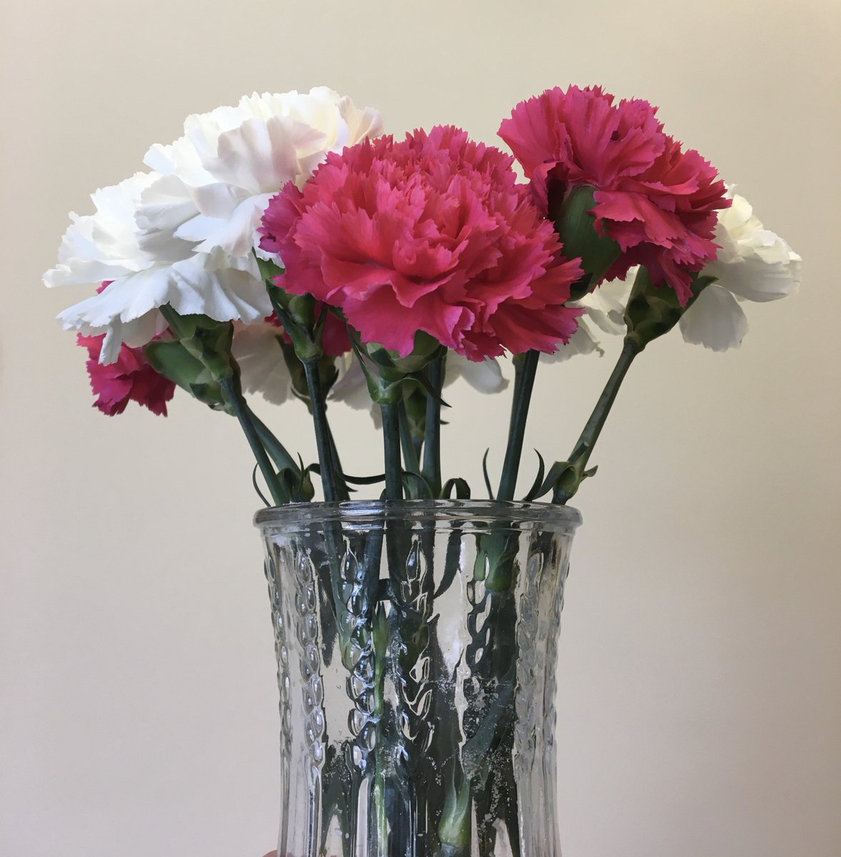 Thank you, Mayor Fiala, for the flowers and the note of appreciation for all we do here at MSK! It’s an honor to work for such a supportive and awesome city!