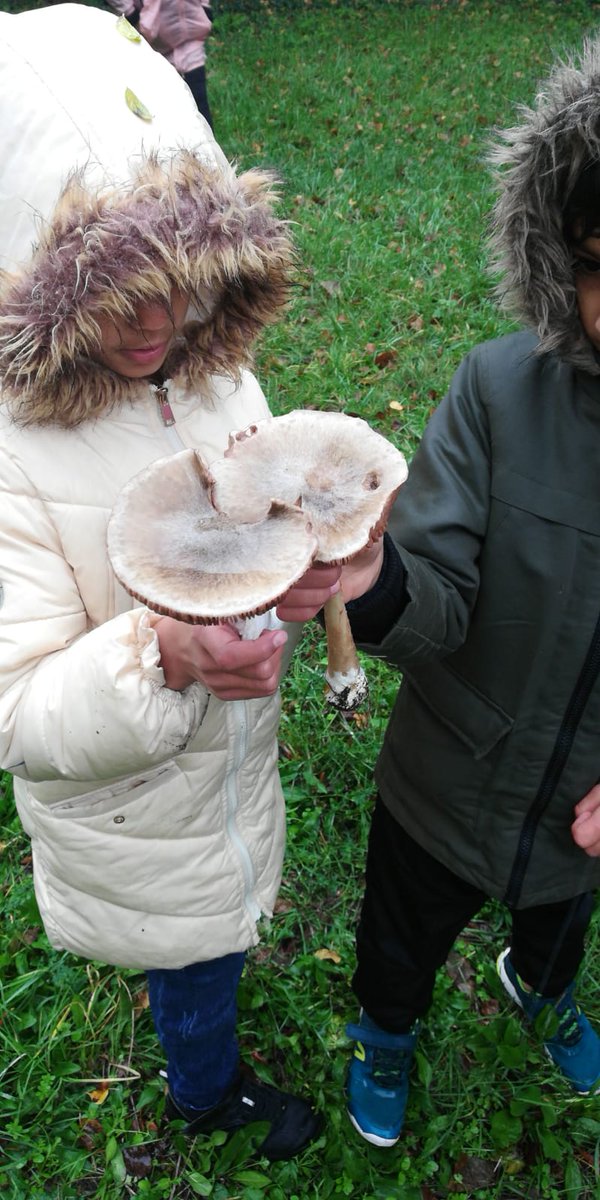LesZalphabus's tweet photo. Dimanche parents et enfants ont bravé le froid pour retrouver Isabelle Desfleurs (naturopathe) pour une découverte des plantes sauvages et médicinales du Bois de Vincennes.
Ils ont par la suite pu découvrir les nombreuses espèces de champignons avec des mycologues. https://t.co/7rpVDGiU0u