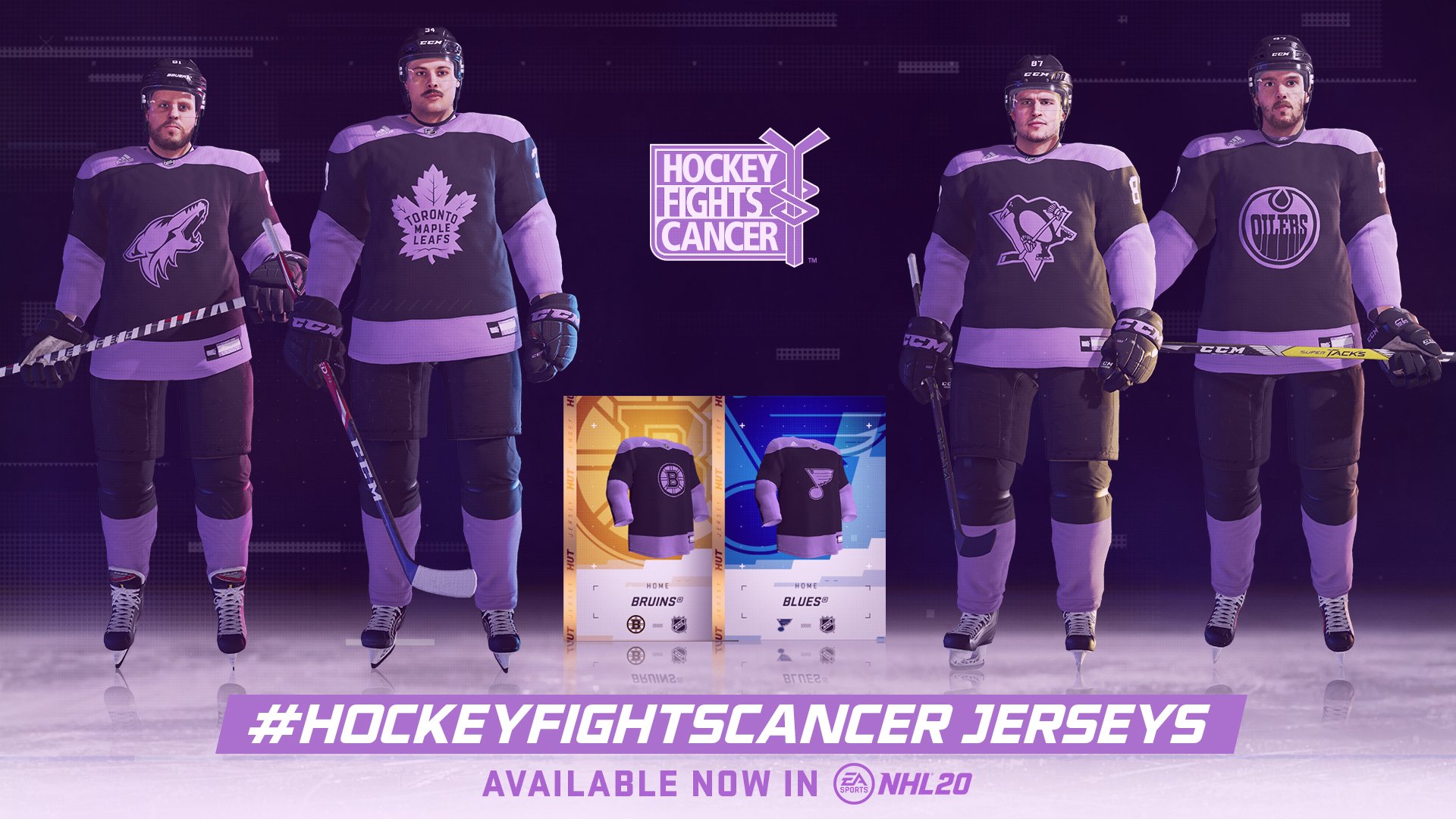 bruins hockey fights cancer jersey