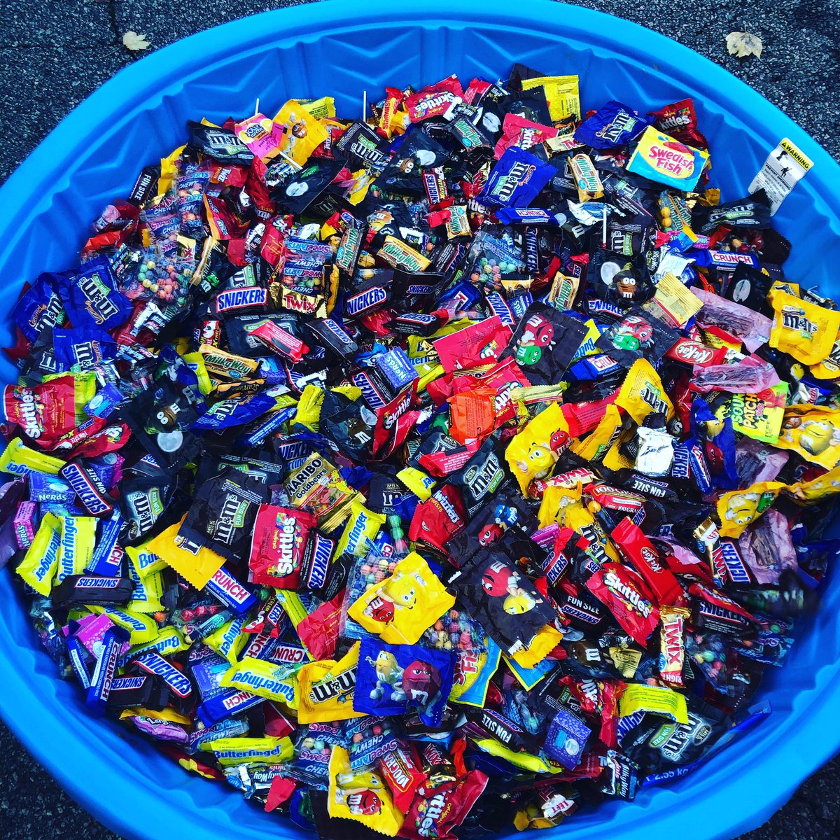 AbirThakurta's tweet photo. That’s not coming back to my house! #candypool #halloween2019 #trickortreat https://t.co/2RNTDDdy8K