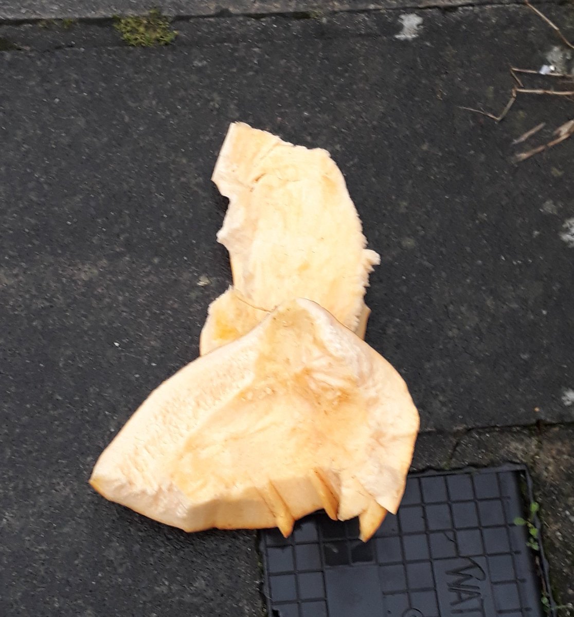 Unbelievably we throw away 18000 tons of pumpkin... enough to make a bowl of soup for everyone in Britain... this is food literally all over our streets