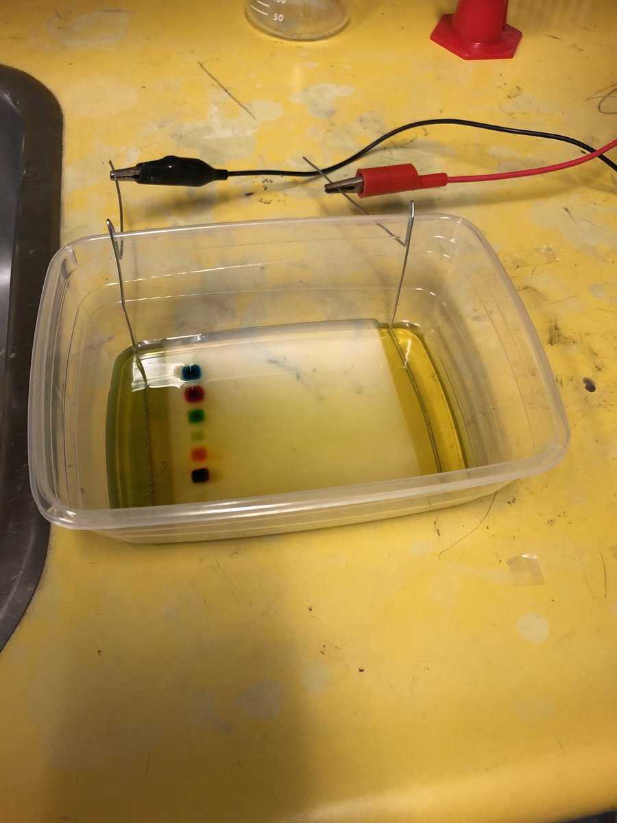 KatelynBeecroft's tweet photo. Gr 12 Biochem students at @SaundersOne using their electrochemistry skills to make diy gel electrophoresis apparatus. Testing with food colouring first, will test with DNA later #TVDSB #TVDSBscience #saundersscience #biology #chemistry #doingrealscience #saundersbiochem https://t.co/X1CHwMB5M9