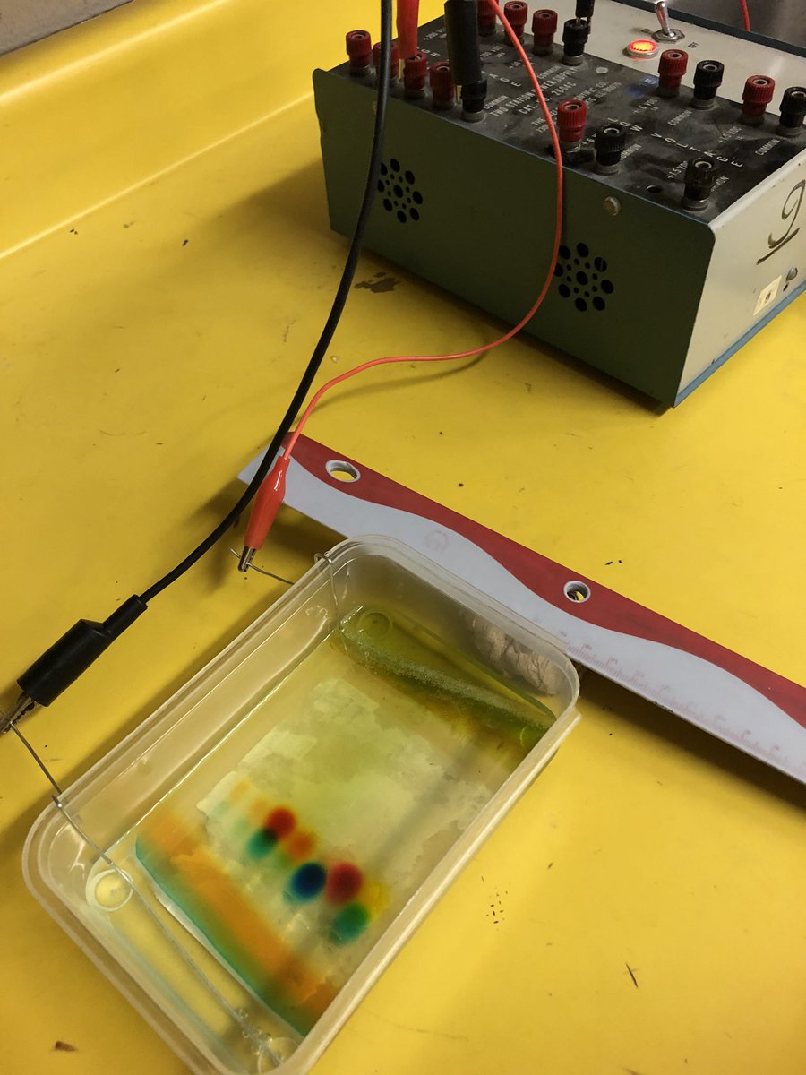 Gr 12 Biochem students at <a href="/SaundersOne/">Saunders Secondary</a> using their electrochemistry skills to make diy gel electrophoresis apparatus. Testing with food colouring first, will test with DNA later #TVDSB #TVDSBscience #saundersscience #biology #chemistry #doingrealscience #saundersbiochem