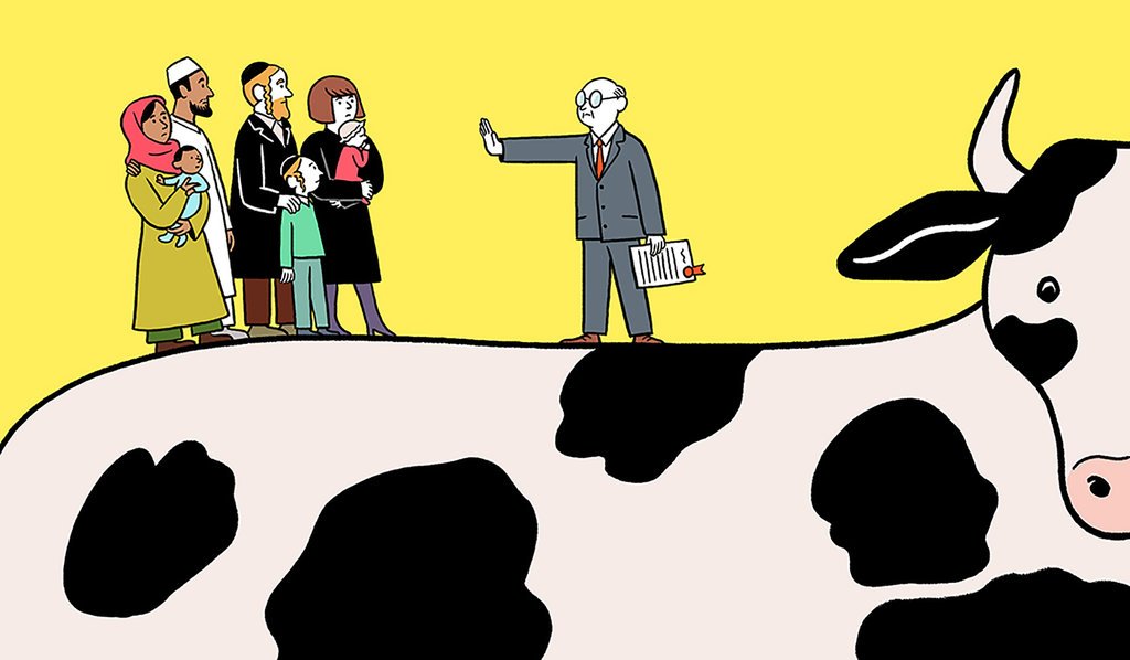 VeggieFi tweet media