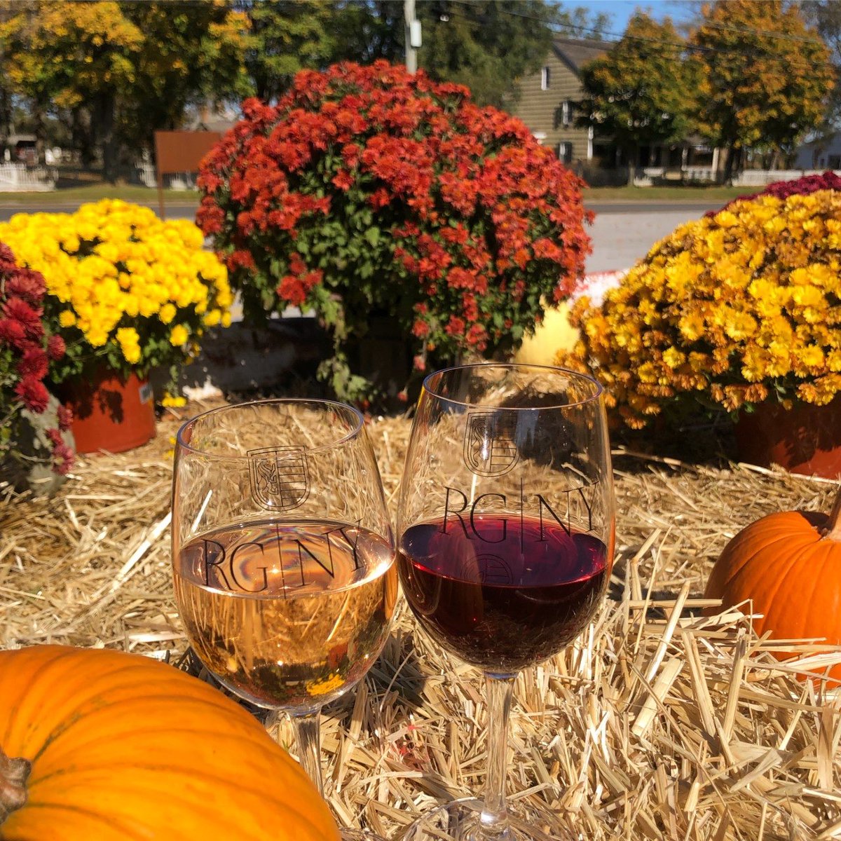 Stop in and have a glass of our RG White Merlot + Scielo Tinto! #northfork #soundavenue #longisland