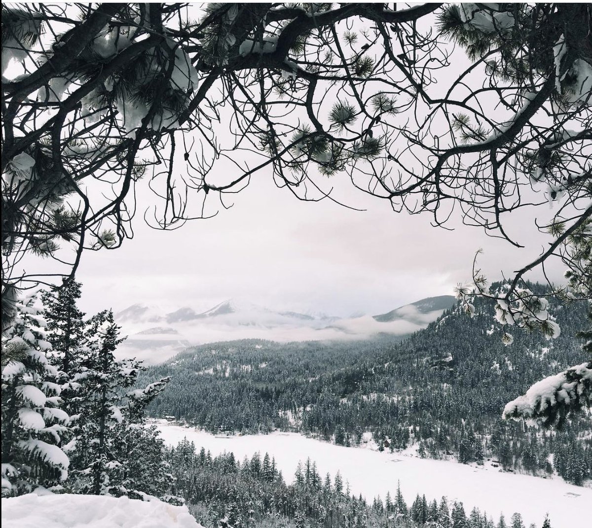 Talk about a winter wonderland! Tyaughton lake is just as amazing in the winter as it is in the summer. The Cabins at Tyax have openings available for winter 2019!  ow.ly/hlGT30pMj2M
#cabins #explorebc #beautifulbc #tyax #tyaughtonlake #bc #gatewaytothesouthchilcotins
