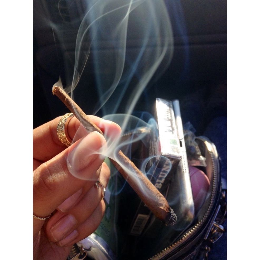 alienweedqueen's tweet photo. https://t.co/vNVVUsV1qr