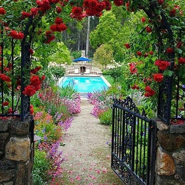 GatherinGardens's tweet photo. Stay turned for my next garden project/adventure.  Website coming soon.👩‍🌾 #whereintheworld #gardenprojects #travelthere #project #caringfor #globalgardenfairy #workinprogress #lovetogarden #growit #green #chateaugarden #plantingbeauty #gardengeek https://t.co/J2yOeeNaSi https://t.co/sD74lpspPX