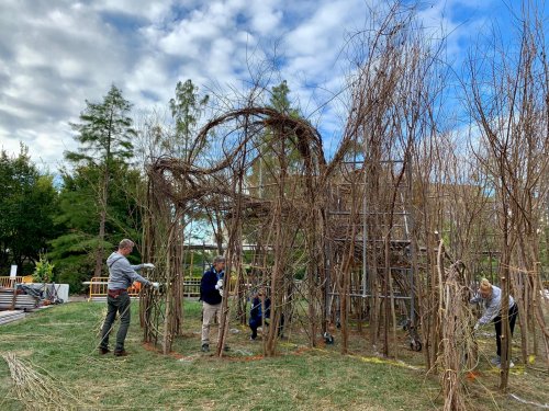 PublicArtReston's tweet image. #PatrickDougherty, the artist behind Reston's #ABirdintheHand, is back in the area! He is crafting a new temporary #stickwork #sculpture in honor of the 200th anniversary of the @USBotanicGarden's original 1820 charter! 

ow.ly/8zV650wXBZc