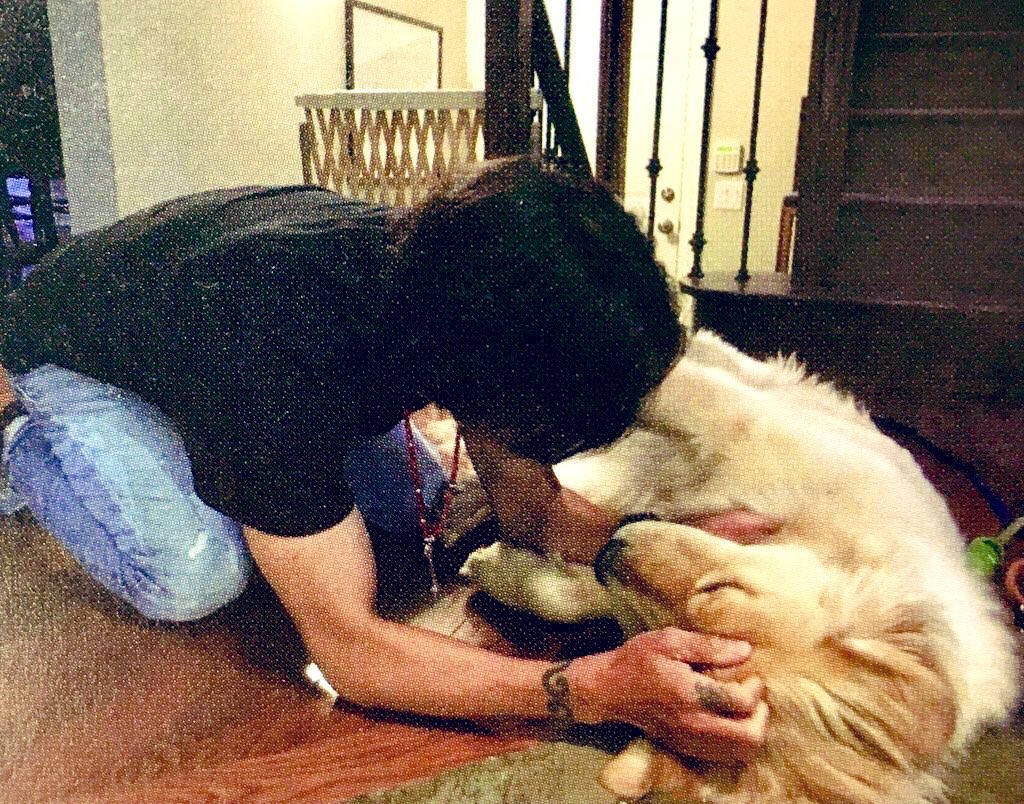 ラブ コ Twitterissa 犬の日 コレ 自分家のワンコじゃないというのが稲葉浩志のすごいところ ラブ コ Twitterissa 犬の日 コレ 自分家のワンコじゃないというのが稲葉浩志のすごいところ