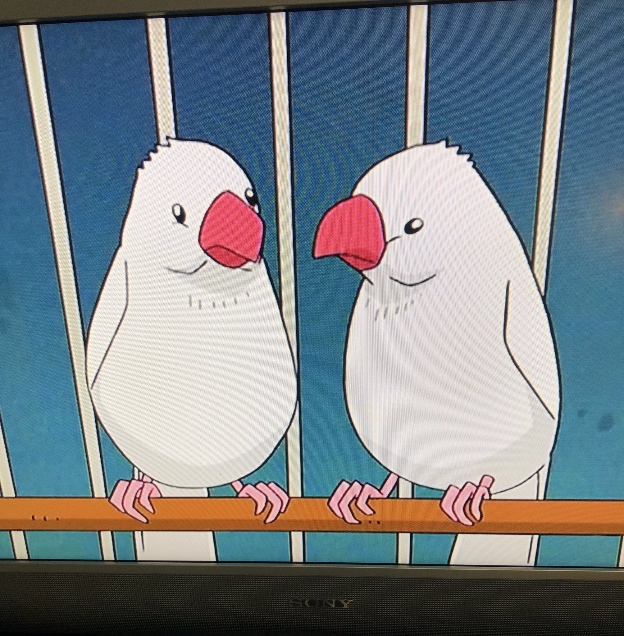 ハト屋 on X: 