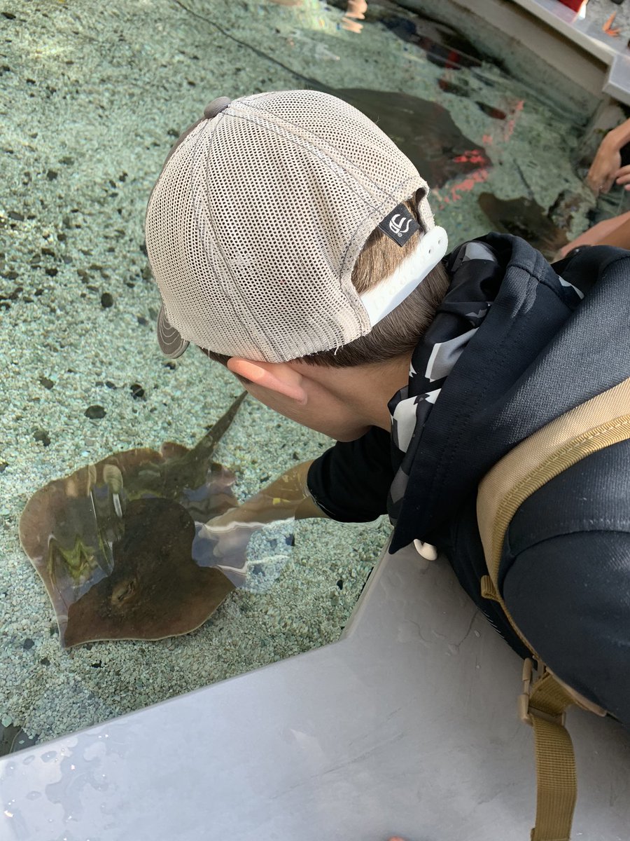 Herring6th's tweet photo. 7th graders learning about the Holocaust in Whitwell TN &amp; learning sea life at the TN aquarium#hillcrestmspats https://t.co/CVs6mZgZH8