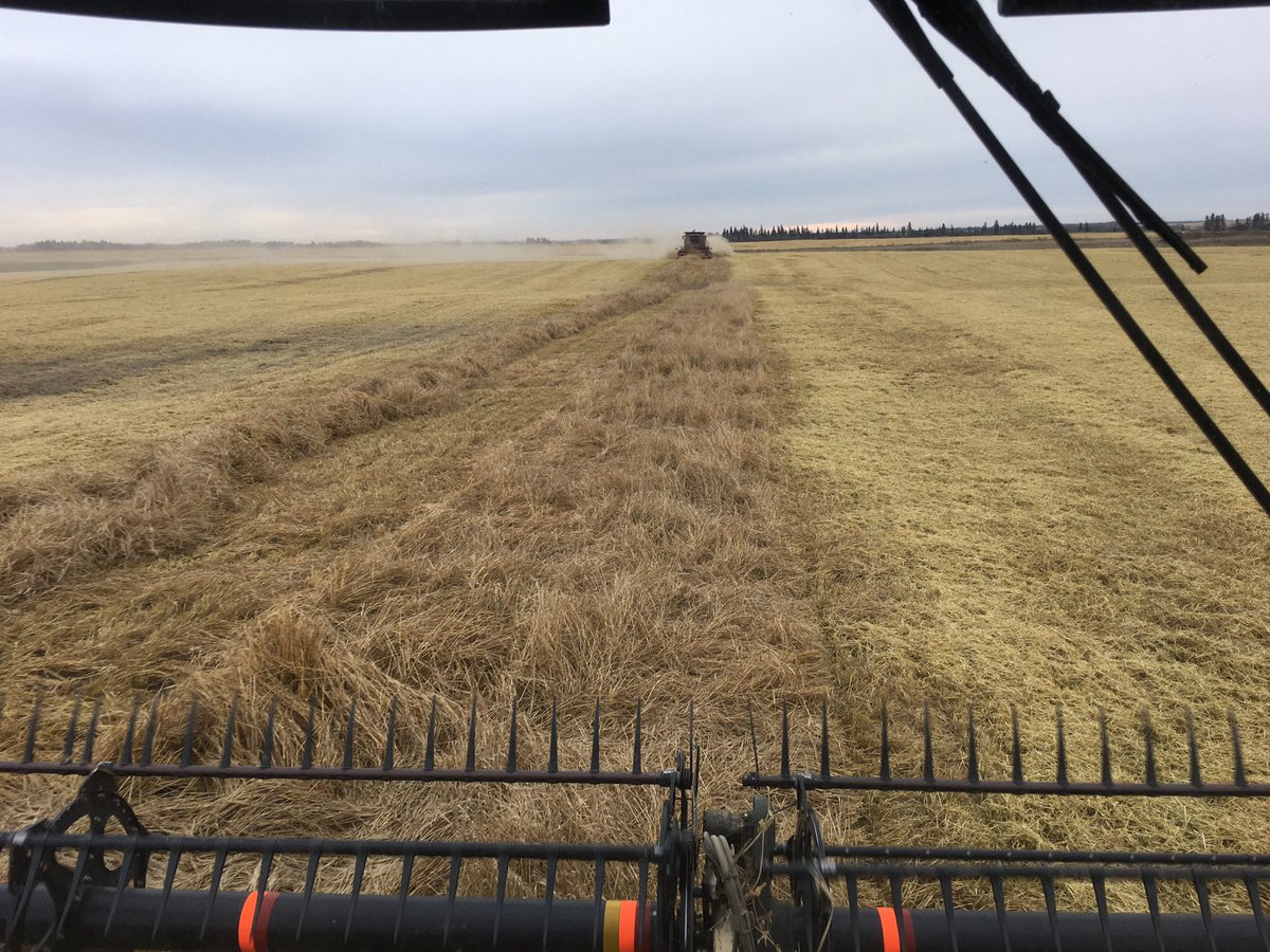mbushnell3's tweet image. Had to call in reinforcements to get it done but that’s a wrap to harvest 2019. #harvestfromhell #harvest19 #rumtime