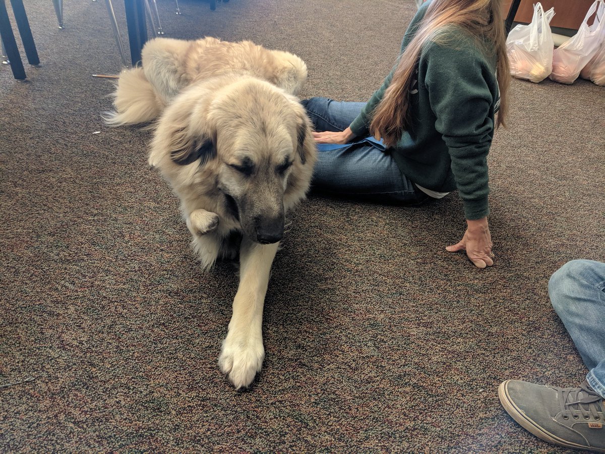 gearedreaction's tweet photo. For the past few weeks our club members have been working on a design for a prosthetic paw for Trey the Dog! Our team was very excited to actually meet him!
#robotics #prosthetics #omgrobots #werunion #firsttechchallenge https://t.co/x7uMQ82BSJ