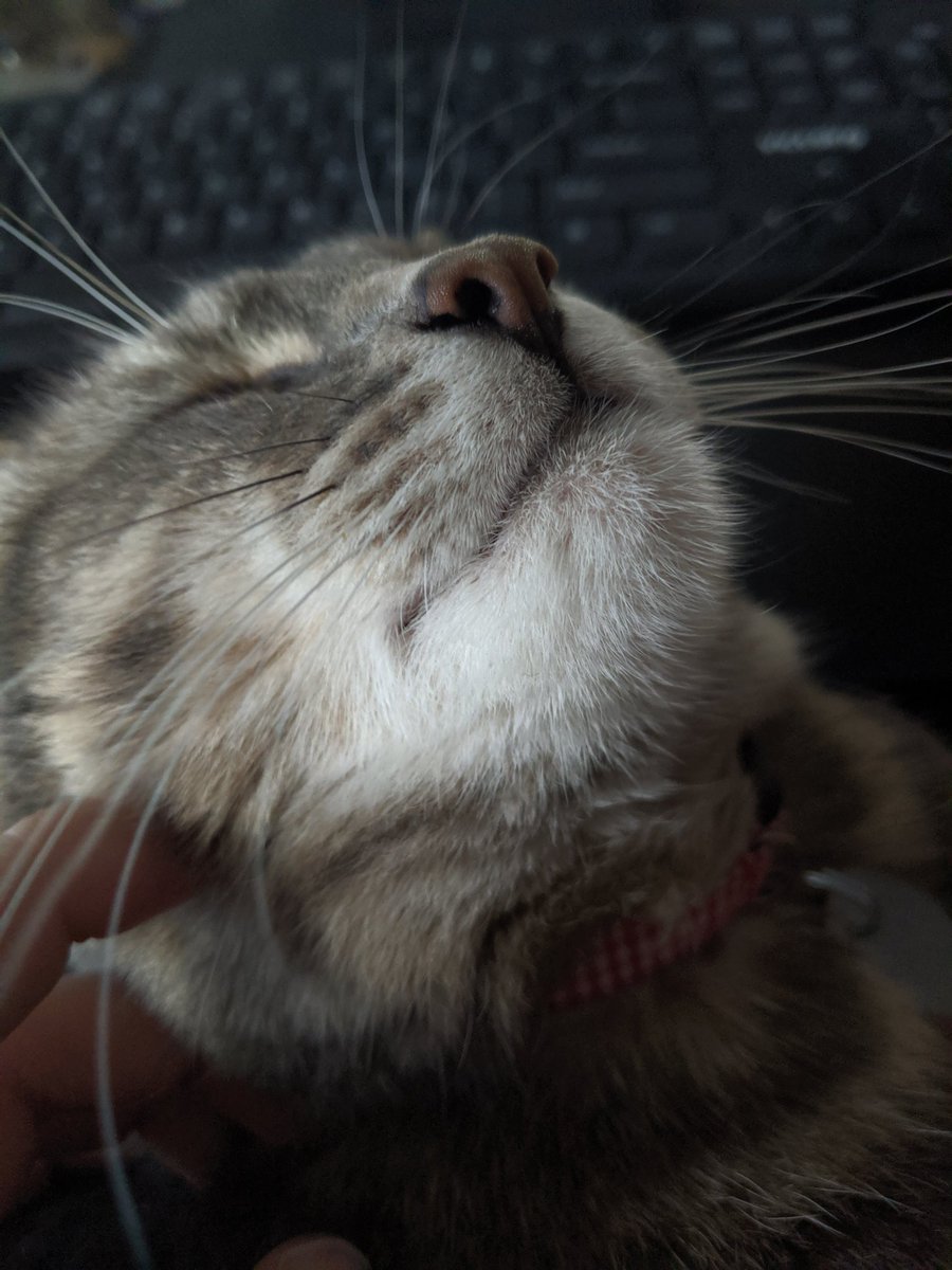 Oh, wow! This is lovely!