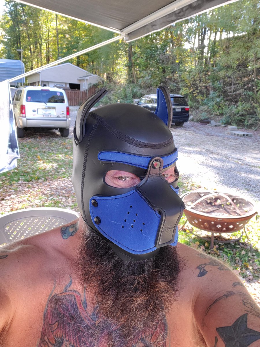 BadBear1969's tweet photo. @topherphoenix Woof https://t.co/eYGnPxfr6J