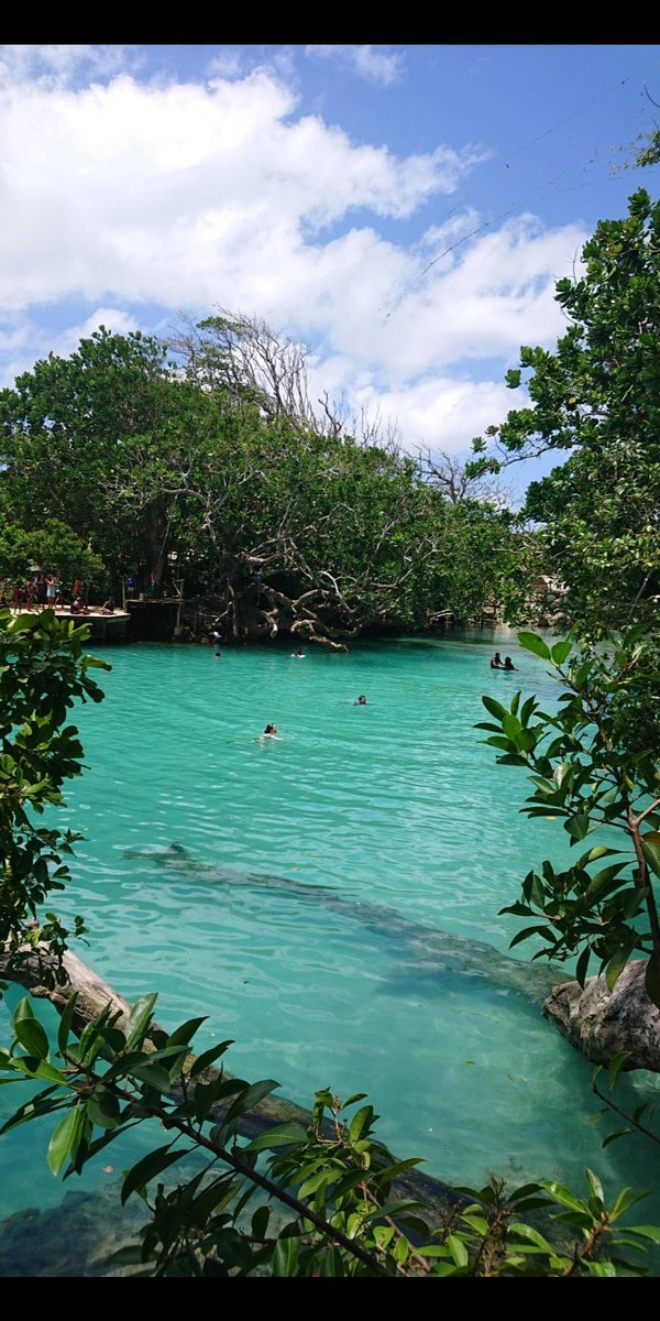 Rainforest walks and blue lagoon in vanuatu <a href="/vanuatumoments/">Vanuatu</a>