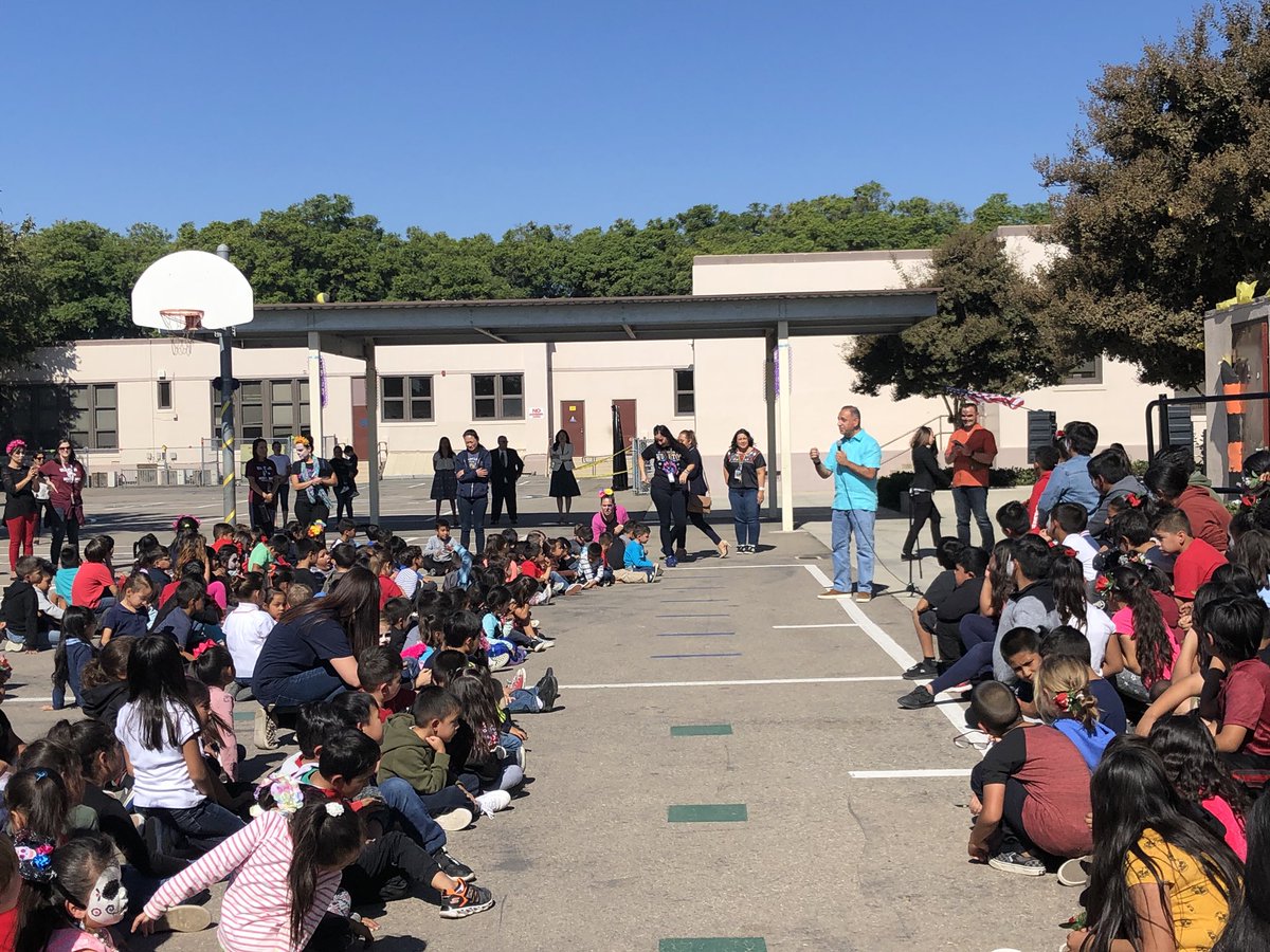 Shelley Behrns tweet media