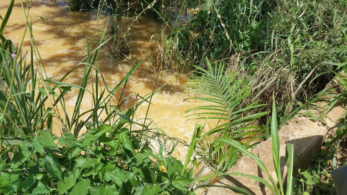 Michael Batame (@batamemichael) on Twitter photo Joined the SERVIR WEST AFRICA to Birim in the Eastern Region to measure the water quality destroyed by illegal miners. Galamsey is being taken place over there upon measures put in place. Still committed to YM.#Stop gala
#SERVIRWA
<a href="/Patiflafla/">Dr. Patricia Solis</a>
<a href="/youthmappers/">YouthMappers</a>
<a href="/UGYouthMappers/">UG YouthMappers</a> Joined the SERVIR WEST AFRICA to Birim in the Eastern Region to measure the water quality destroyed by illegal miners. Galamsey is being taken place over there upon measures put in place. Still committed to YM.#Stop gala
#SERVIRWA
<a href="/Patiflafla/">Dr. Patricia Solis</a>
<a href="/youthmappers/">YouthMappers</a>
<a href="/UGYouthMappers/">UG YouthMappers</a>