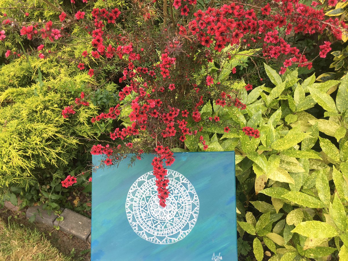 Who’s interested ???