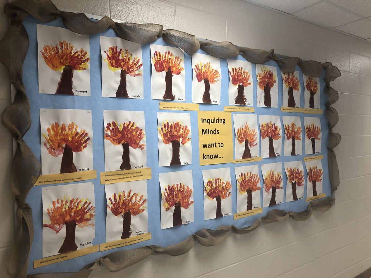 FdkbHeart's tweet photo. Our inquiry wall art on Autumn 🍁 🍁 #kindergartenart #kindergarteninquiry #AllAboutFall https://t.co/6EQC3vTGBc
