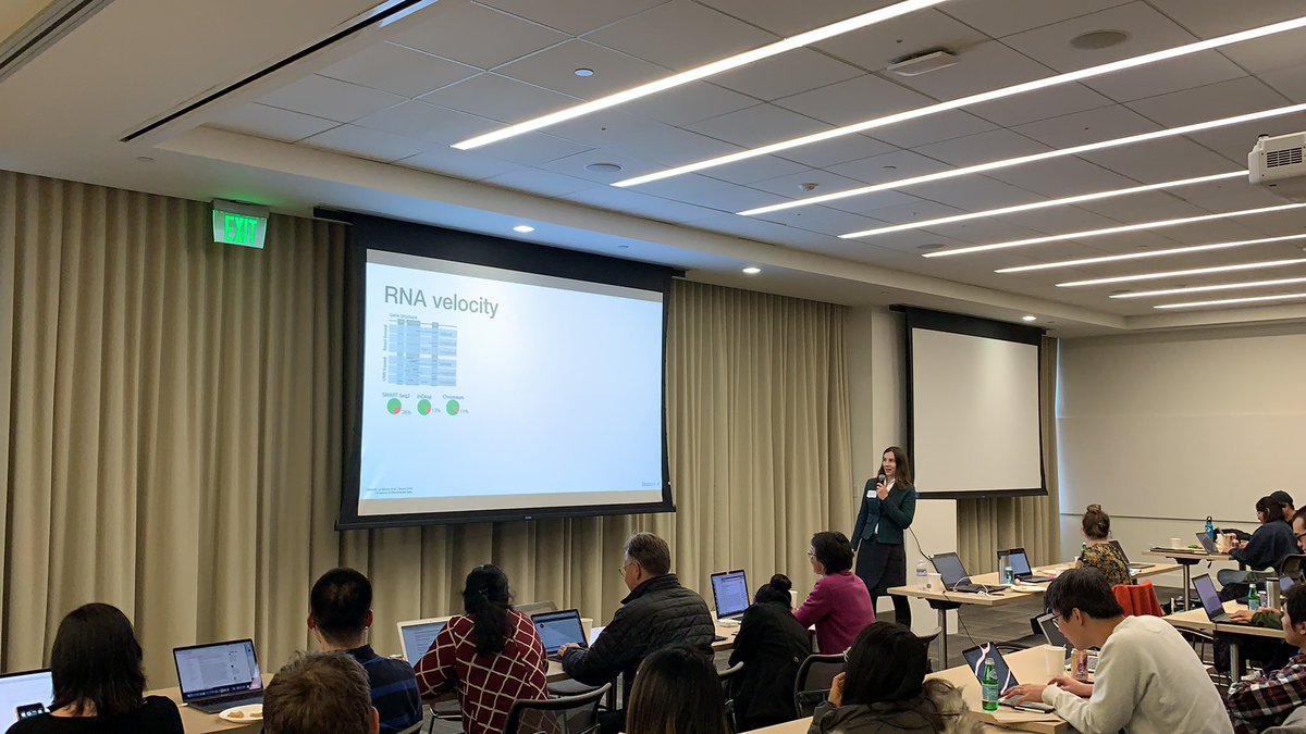 drAOPisco's tweet image. #scanpy &amp;amp; RNA velocity by @marenbuettner