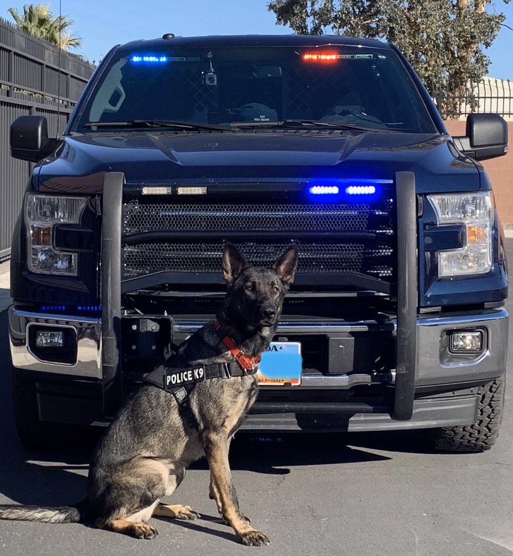 Today we welcomed K9 Lobo into the NHP Family. Lobo is a 3 year old ...