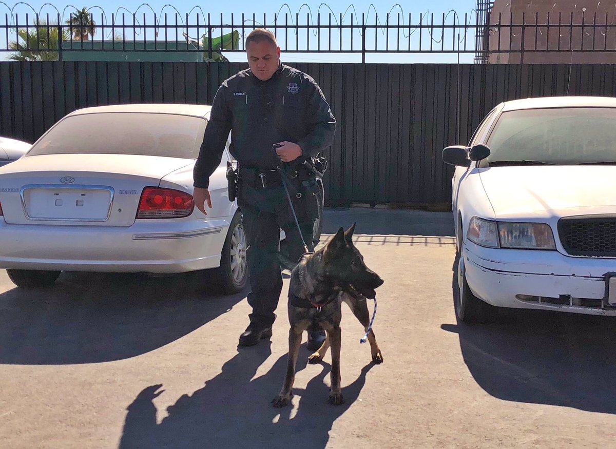 Today we welcomed K9 Lobo into the NHP Family. Lobo is a 3 year old ...