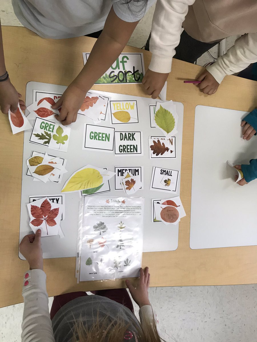 megstweis's tweet photo. Checked out the Maker Space today- the trees and forests theme fits great with Gr6 science. @OLOPecsd https://t.co/sZIDu4IVDX
