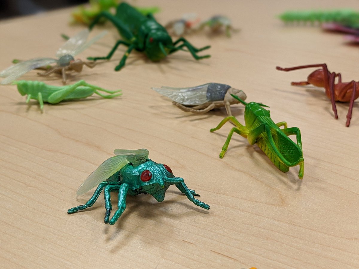 TeachwithTong's tweet image. Sneak peek into tomorrow&apos;s STEM Studio in Anaheim, CA! We&apos;ll be focusing on inquiry, engagement, and interdisciplinary learning through STEM.  #TGREDUCreate #STEMStudio