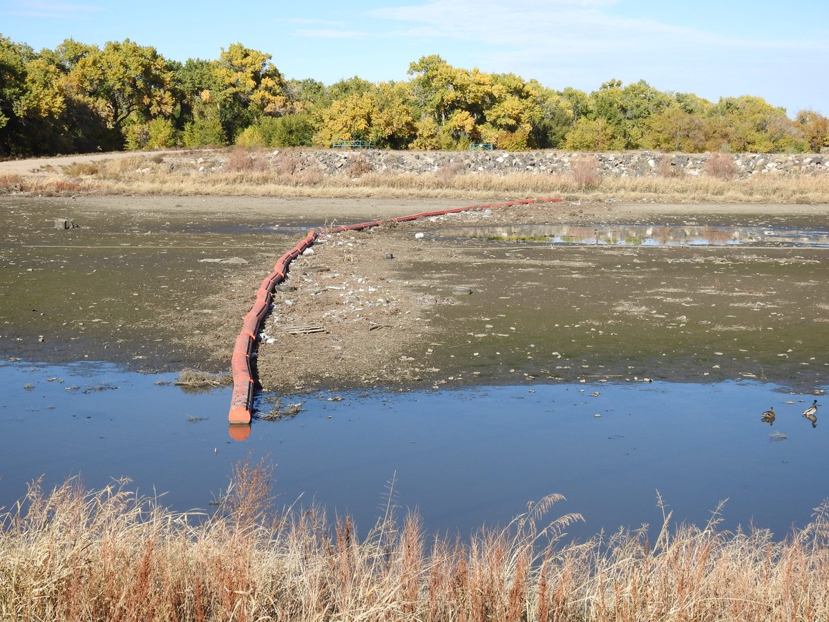 ABQFloodControl's tweet photo. November 1, 2019- #AMAFCA #FacilityFrday The North Diversion Channel Outfall Booms are well at work capturing a lot of debris before it is released into the Rio Grande. As you can see the wildlife at the outfall are enjoying them also! https://t.co/DFmH6Fk5og