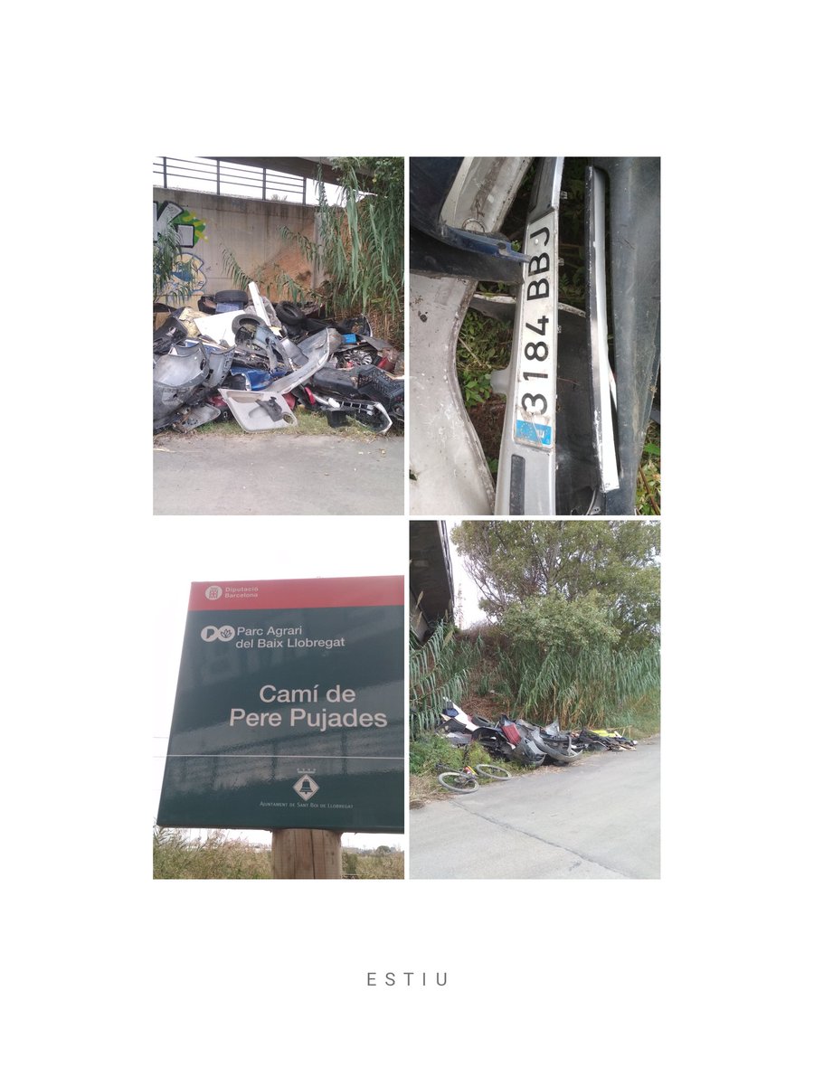 Sortir a fer un tomb pel <a href="/deltallobregat/">Delta del Llobregat</a> en bici i trobar-te això...
Provablement taller clandestí o desballestador que es passa la gestió de residus pel folre...
Us deixo una pista <a href="/agentsruralscat/">Agents Rurals</a> <a href="/mossos/">Mossos</a> <a href="/AjSantBoi/">Ajuntament Sant Boi</a> per si voleu estirar del fil...