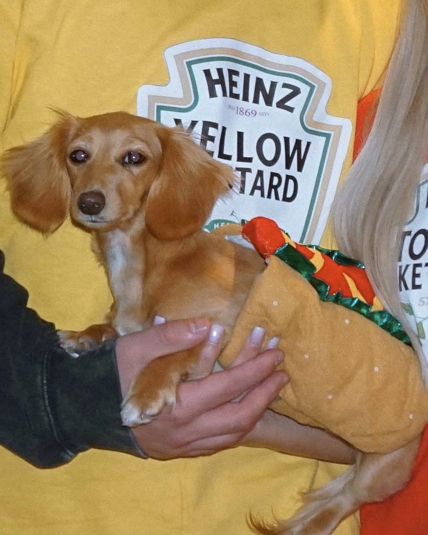 peanutdaweenut's tweet image. wen I said me was a snak I didn’t mean it LITERALLY 🙄🎃