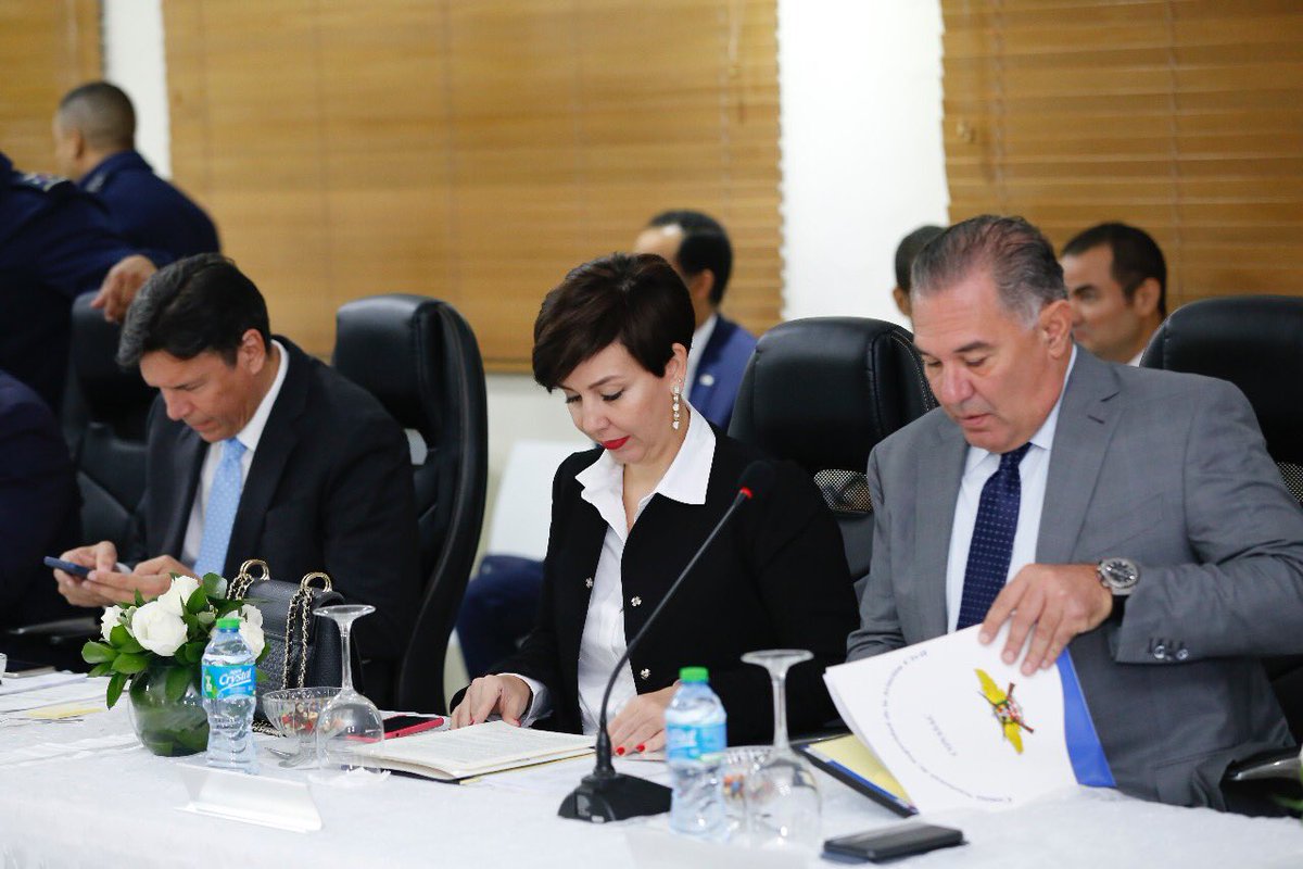 MDefensaRD's tweet photo. Durante el encuentro se abordaron temas como los resultados de la Actualización de la 7ma. Edición del Programa Nacional de Seguridad de la Aviación Civil #PNSAC y los Lineamientos sobre  el Plan Global de la Aviación Civil #GASeP...2/3 https://t.co/P33FeZ7bRM