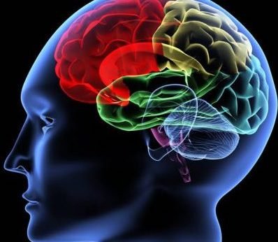 crossfitelm's tweet image. Have you ever heard of your Reticular Activating System?
-
Hit the link in our bio and head to our blog to read Coach B's explanation of how it can help you change your life.
-
#liveexcellent #mindset #reticularactivatingsystem #crossfitcolorado  #fitnessthornton #thisboxrocks