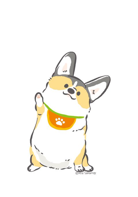 「全身 柴犬」のTwitter画像/イラスト(古い順)