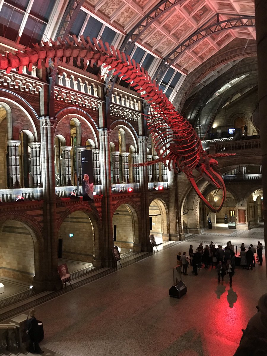 Marie__Axel's tweet photo. Something quite magical being here with only a few other people at night https://t.co/YzMct0wcba