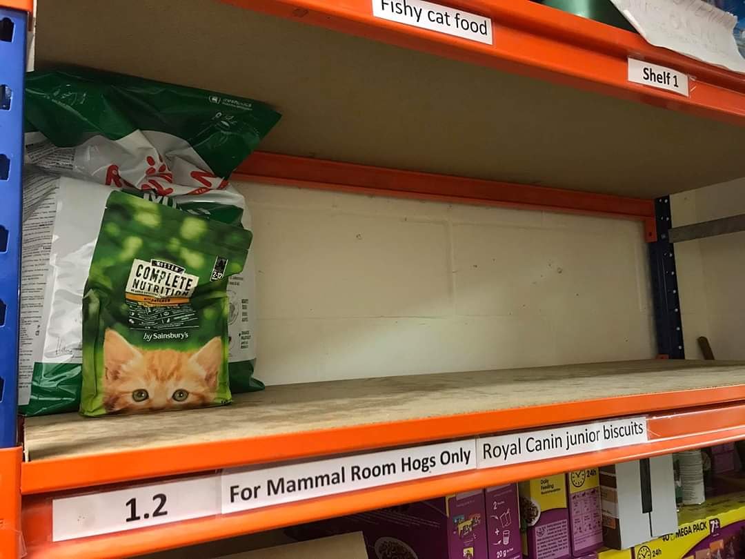 automatic water dispenser for chickens