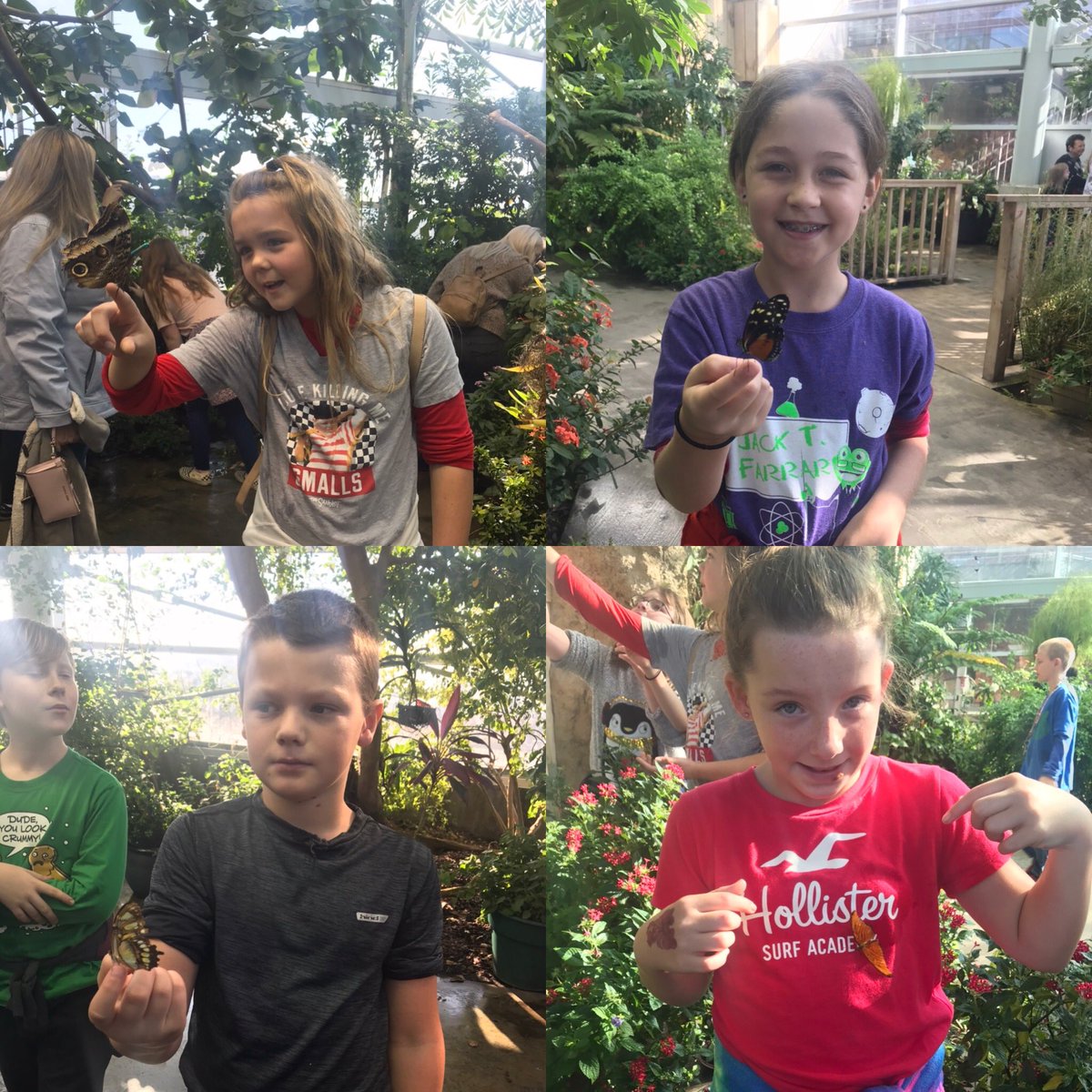 _marthabrooke's tweet photo. What a fun day! 4th graders at @JackTFarrar always 💗 going to the @TNAquarium! #TCSPublic #FarrarFrogs @TCSPublic @MonaBethMontoye @CorynnMoyers @edens_debbie https://t.co/1VfIfxb0YA