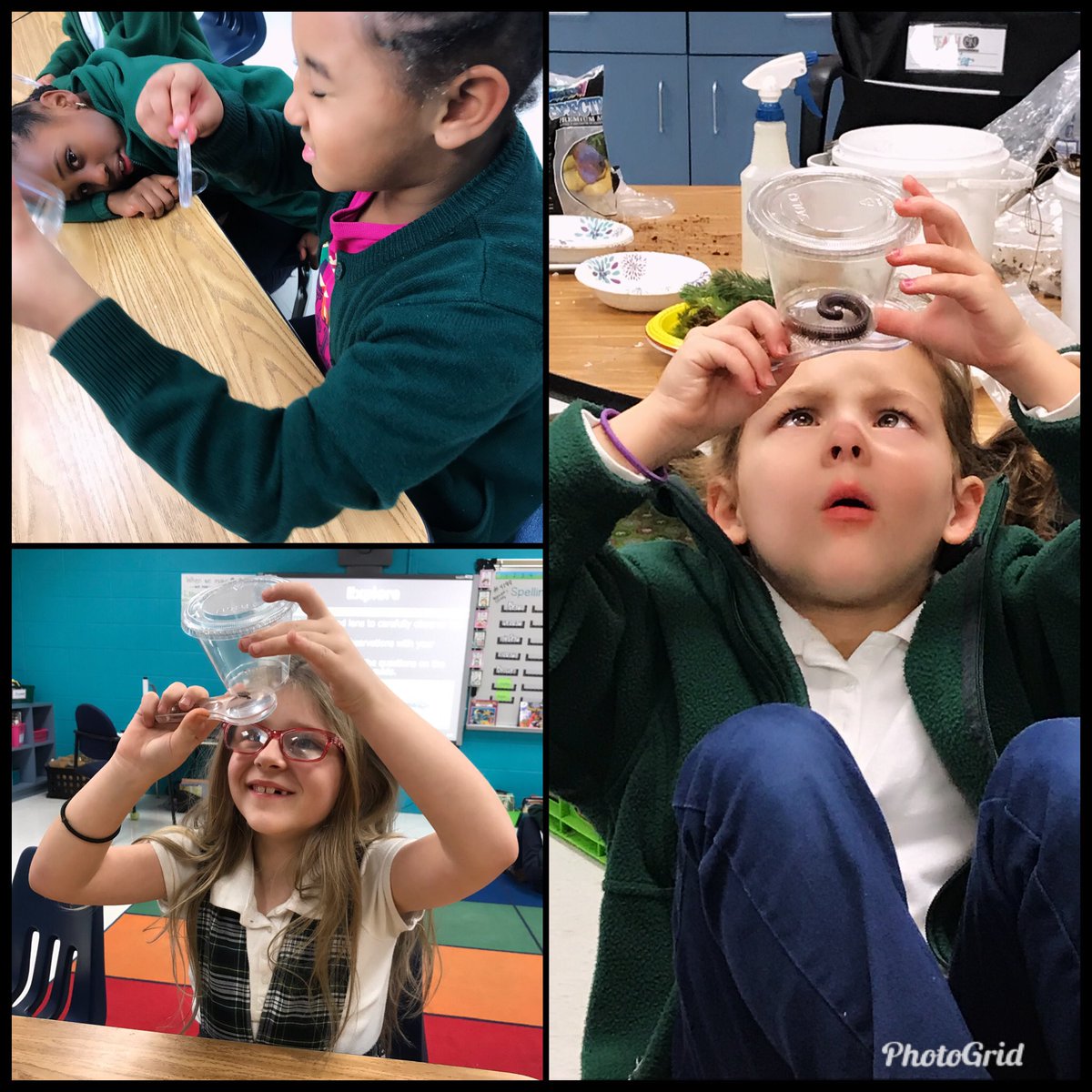 Observing a millipede is so intriguing. All the legs! Some even named theirs before putting them in our terrariums. #eww  #kidsloveusinghandlens
