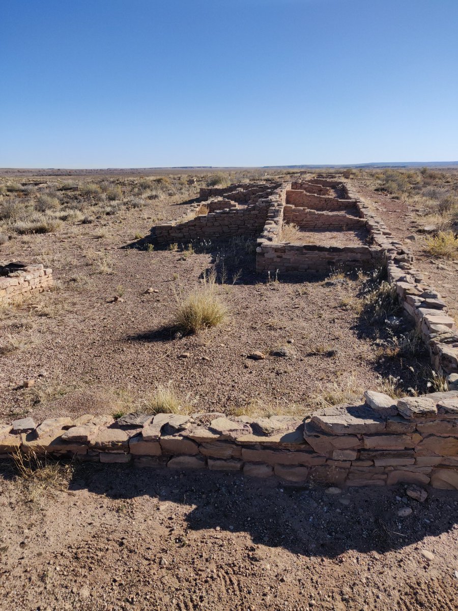 PetrifiedForestAssn tweet media