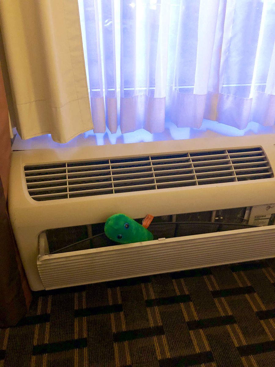 LennyLegionella's tweet photo. This hotel makes me feel right at home! #GPID2019 #findlenny https://t.co/ipc2SyN4ug